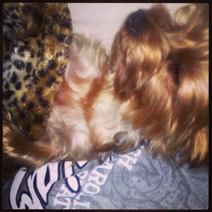 Meet your Posher, Joetta