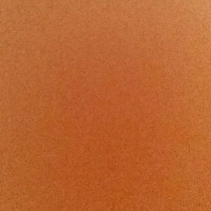 Meet your Posher, Tanisha