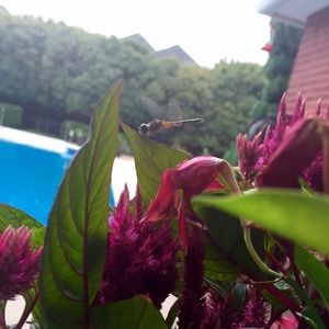 Meet your Posher, Casey