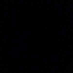 Meet your Posher, Darrell