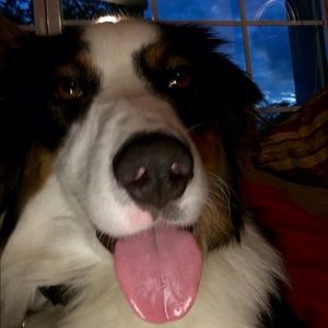 Meet your Posher, Tracy