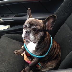 Meet your Posher, Julia