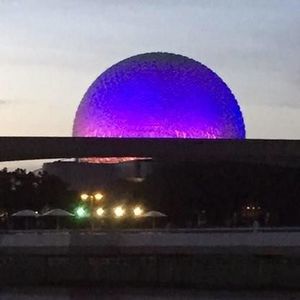 Meet your Posher, Anne