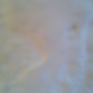 Meet your Posher, Marlene