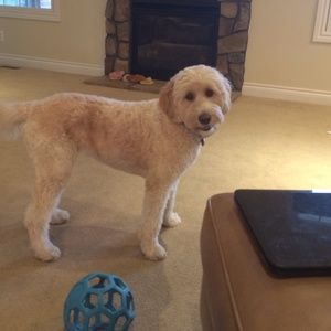 Meet your Posher, Nikole