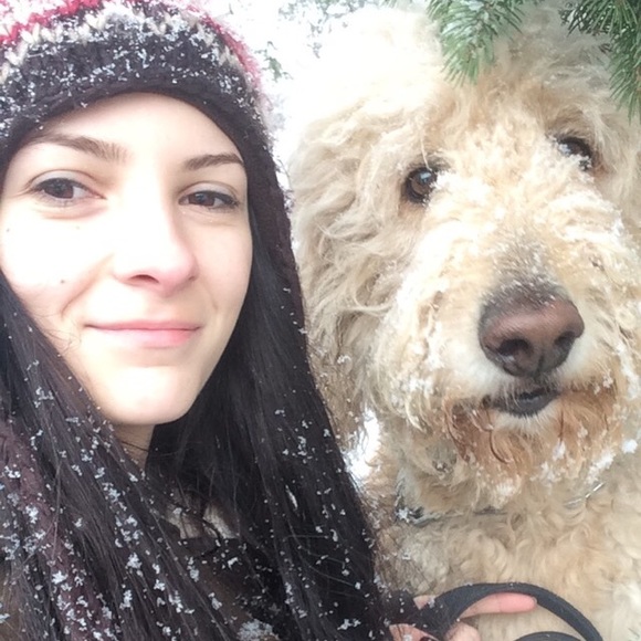 Meet your Posher, Sophie - Picture 2 of 4