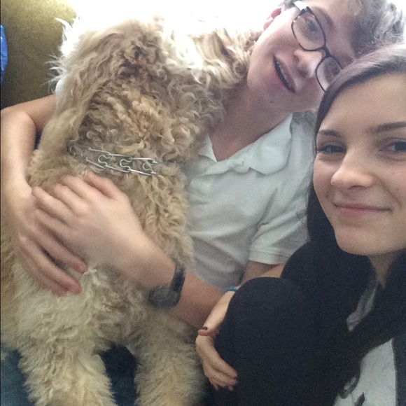 Meet your Posher, Sophie - Picture 4 of 4