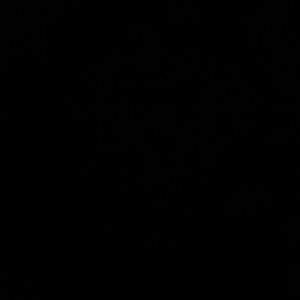 Meet your Posher, Johnnalyn