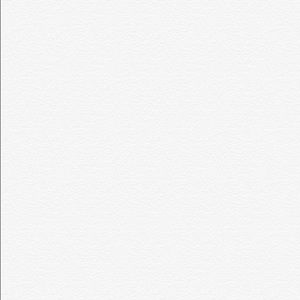 Meet your Posher, Evanie