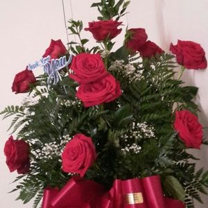 Meet your Posher, Crystal