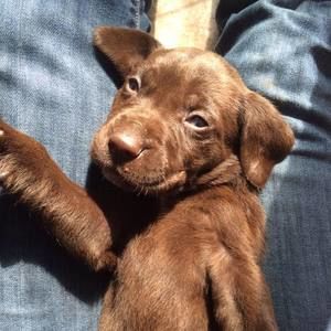 Meet your Posher, Amyleann