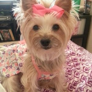 Meet your Posher, Tamara