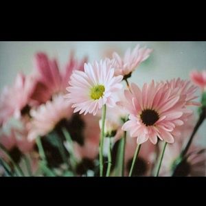 Meet your Posher, Dana