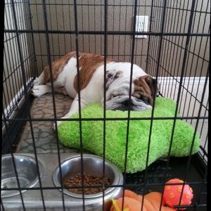 Meet your Posher, Natt