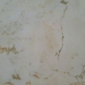 Meet your Posher, Dayna