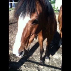 Meet your Posher, Kacey