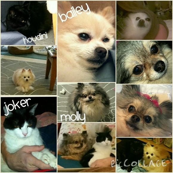 Hi I'm Sarah - Picture 2 of 3