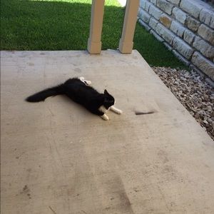 Meet your Posher, Mike