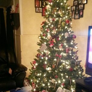 Meet your Posher, Clara