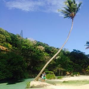 Meet your Posher, Rosie