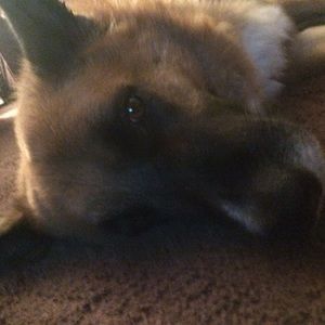 Meet your Posher, Becky