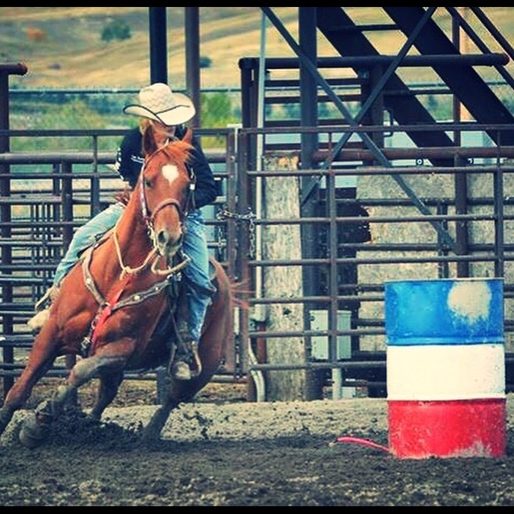 Meet your Posher, Tara - Picture 1 of 1