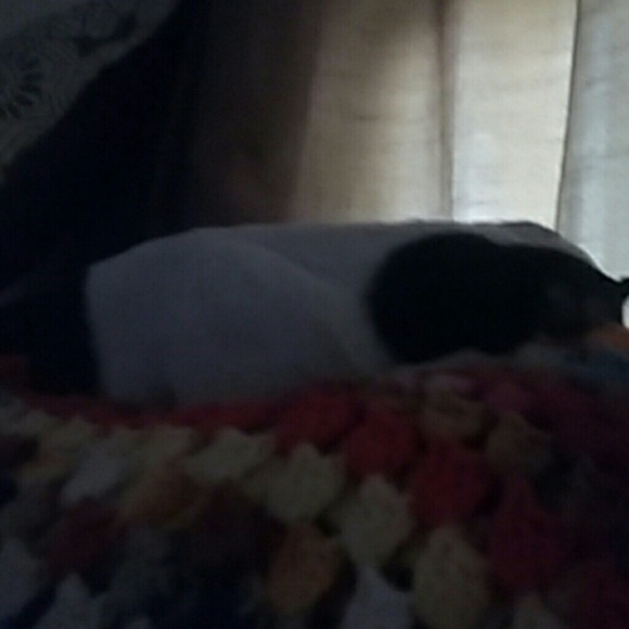 Meet your Posher, Dawn - Picture 1 of 1