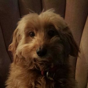 Meet your Posher, Marit