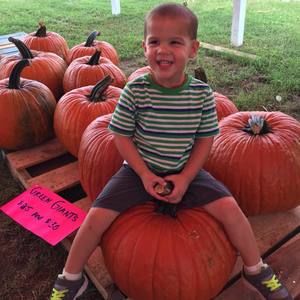 Meet your Posher, Gina