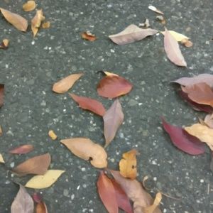 Meet your Posher, Margaret