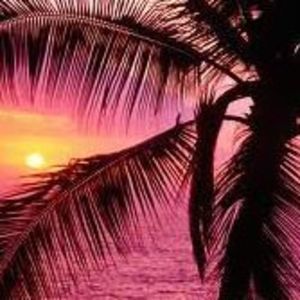 Meet your Posher, Charity