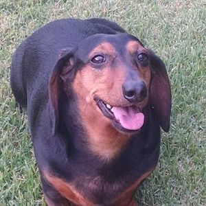 Meet your Posher, Mindy