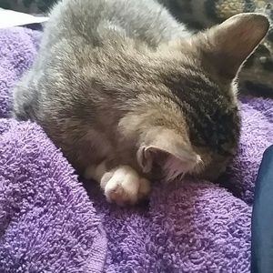 Meet your Posher, Juanita