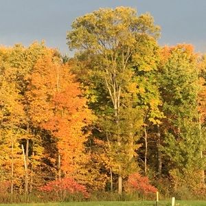 Meet your Posher, Holly