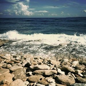 Meet your Posher, Arielle