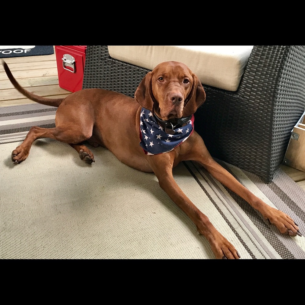 Meet your Posher, Melissa