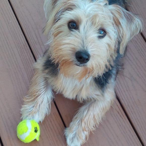 Welcome to my closet! :D - Picture 3 of 8