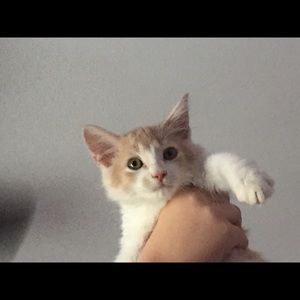 Meet your Posher, Margaret