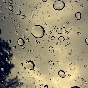 Meet your Posher, Malorri