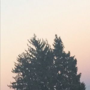 Meet your Posher, Isabelle