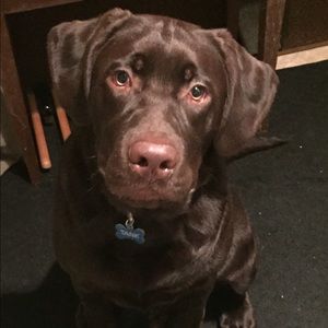 Meet your Posher, Kristin