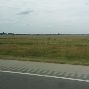 Meet your Posher, Shelly