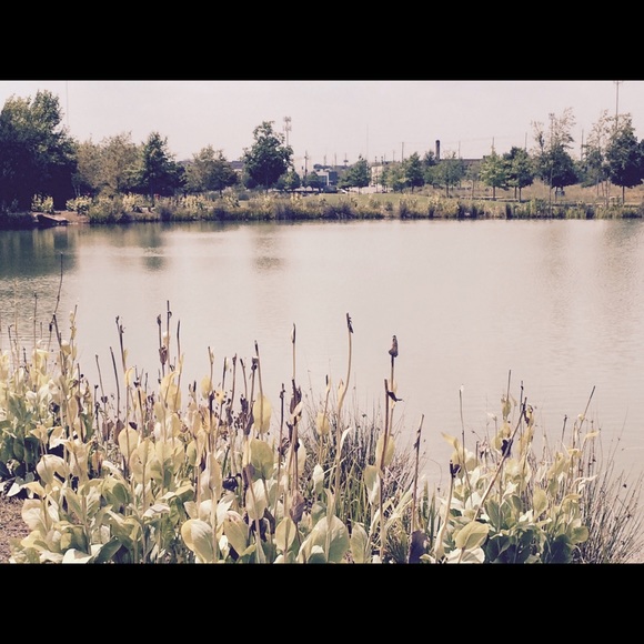 Meet your Posher, Patrice - Picture 1 of 1