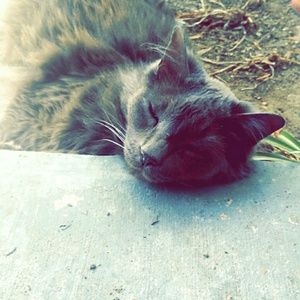 Meet your Posher, Ahsan