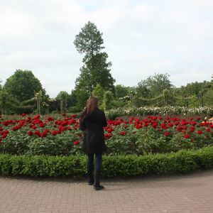 Meet your Posher, Maggie