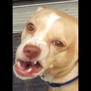 Meet your Posher, Tammy