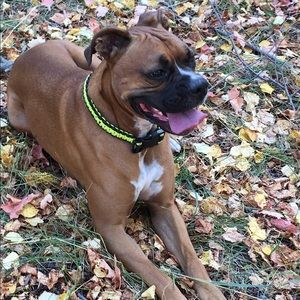 Meet your Posher, Kelsey