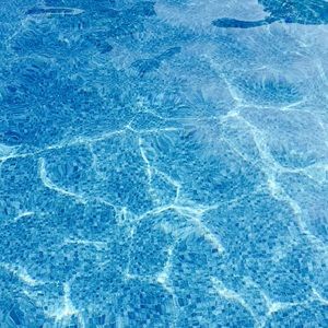 Meet your Posher, Autumn