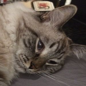 Meet your Posher, Alice