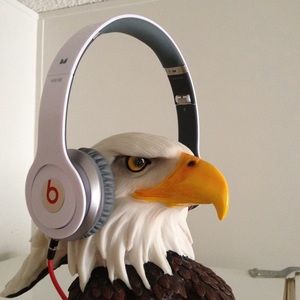 Meet your Posher, Steven